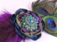 Double Peacock Feather Accent